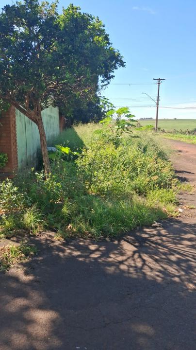 Foto 5 de 5 — 'Cadê a praça'? Moradores denunciam abandono de área pública em Araraquara